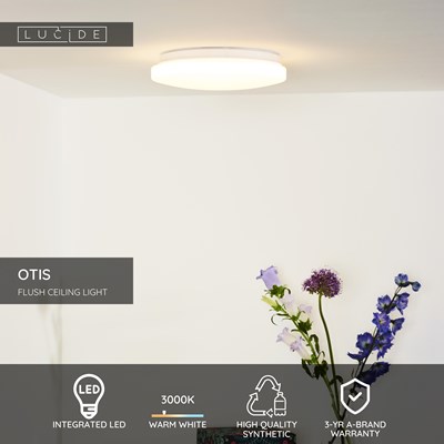 Lucide OTIS - Flush ceiling light - Ø 26 cm - LED - 1x14W 3000K - Opal